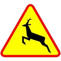 zdjęcie przedstawia znak drogowy A18b informujący o możliwości wtargnięcia na jezdnię dzikiego zwierzęcia